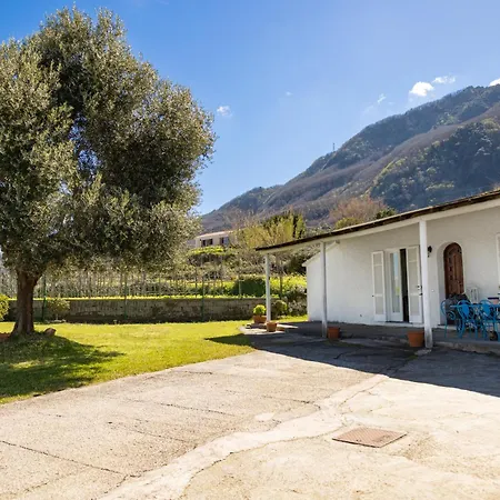 Elysium House - Slow Living Retreat In شقة