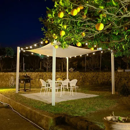 Elysium House - Slow Living Retreat In شقة