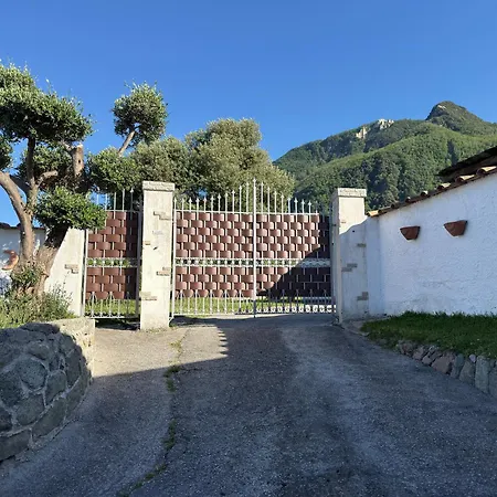 Ischia Sea View Garden - Fire Pit & Outdoor Living Apartamento *